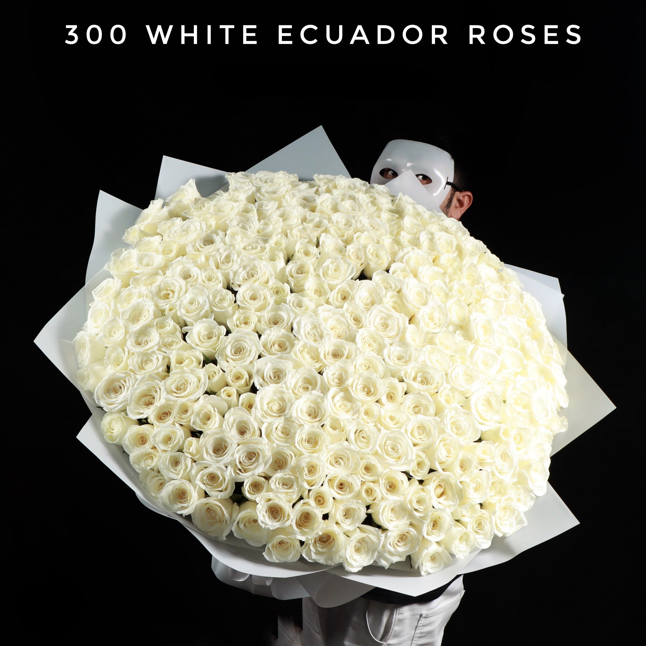300 White Ecuador Roses Main image