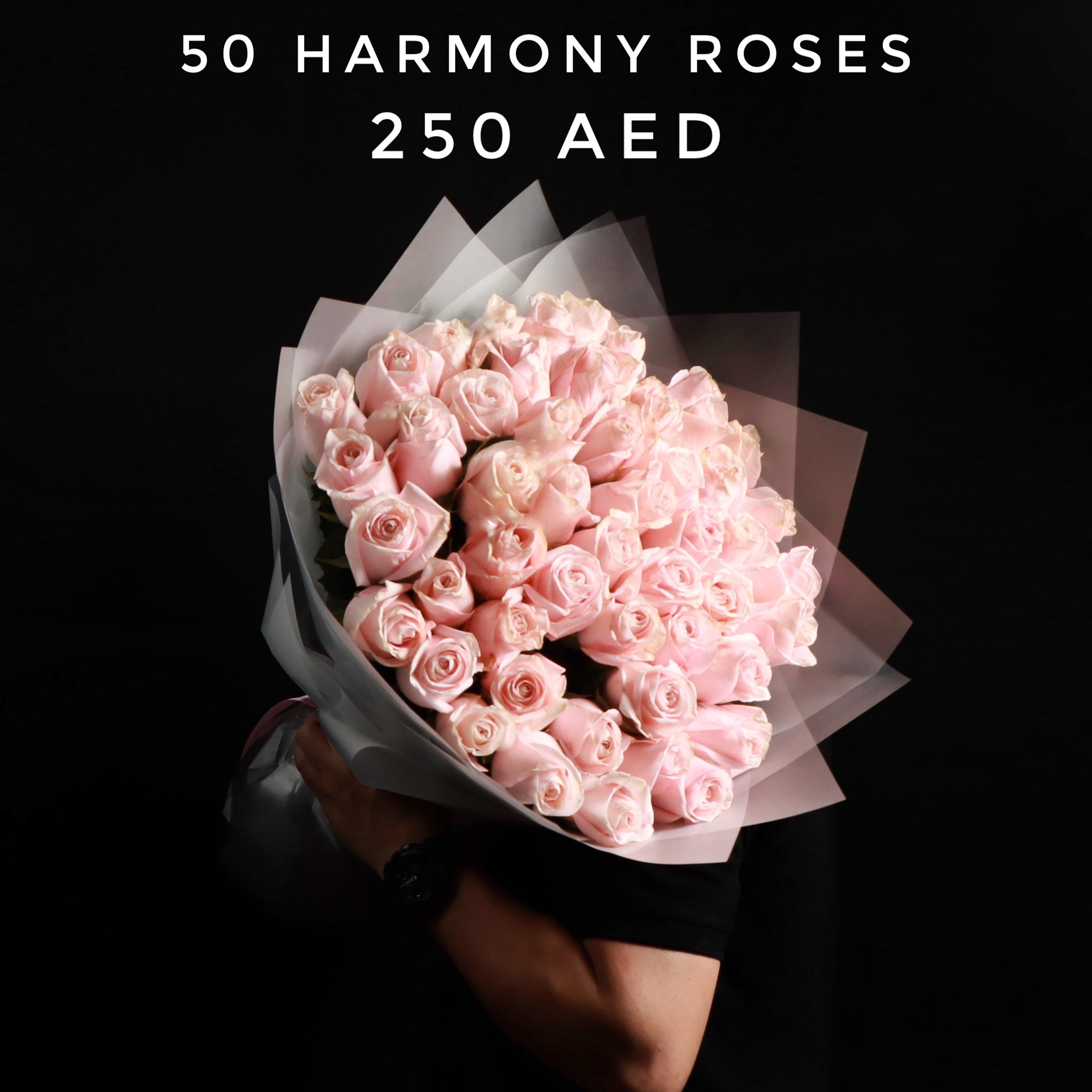 50 Harmony Roses Bouquet Main image