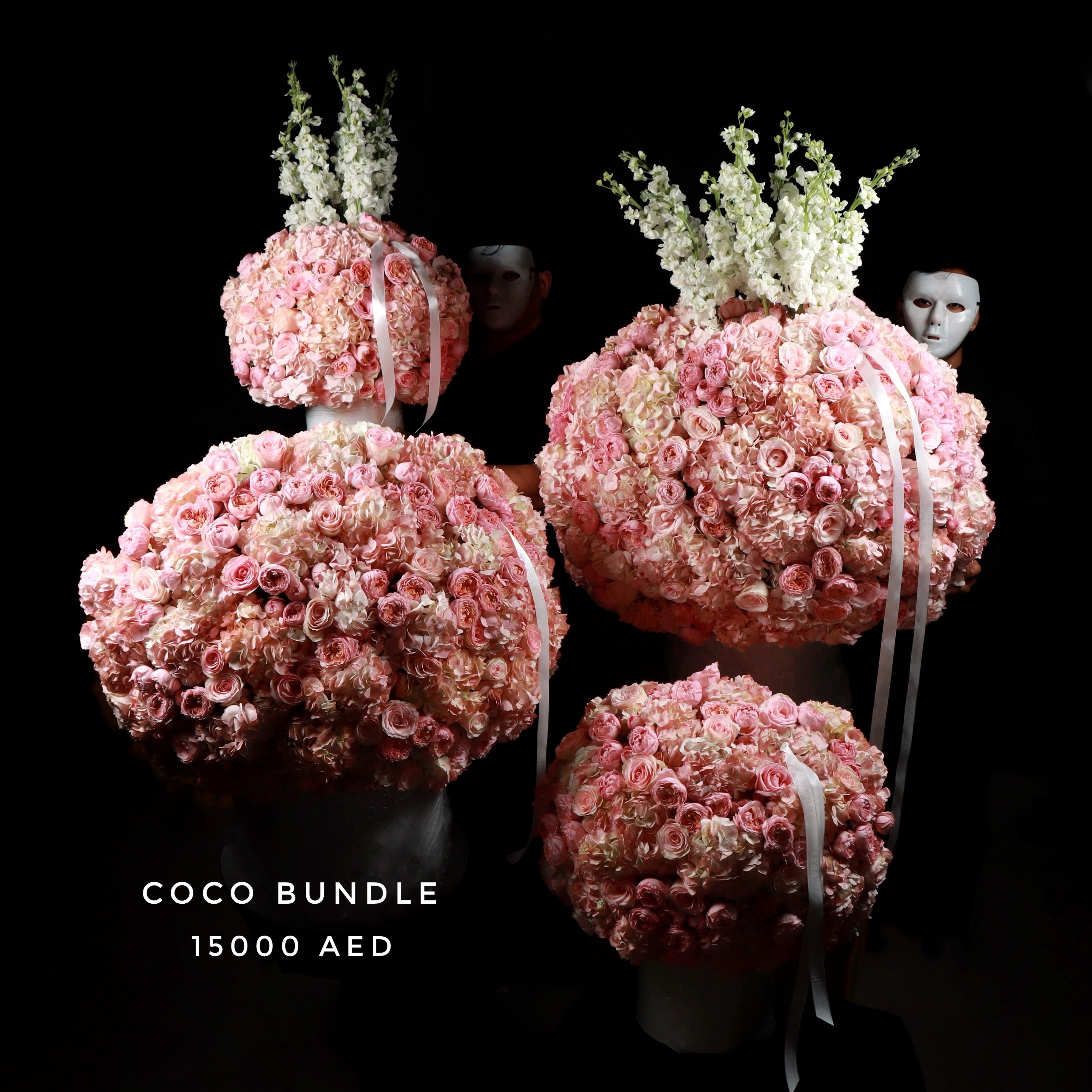 Coco Bundle Main image