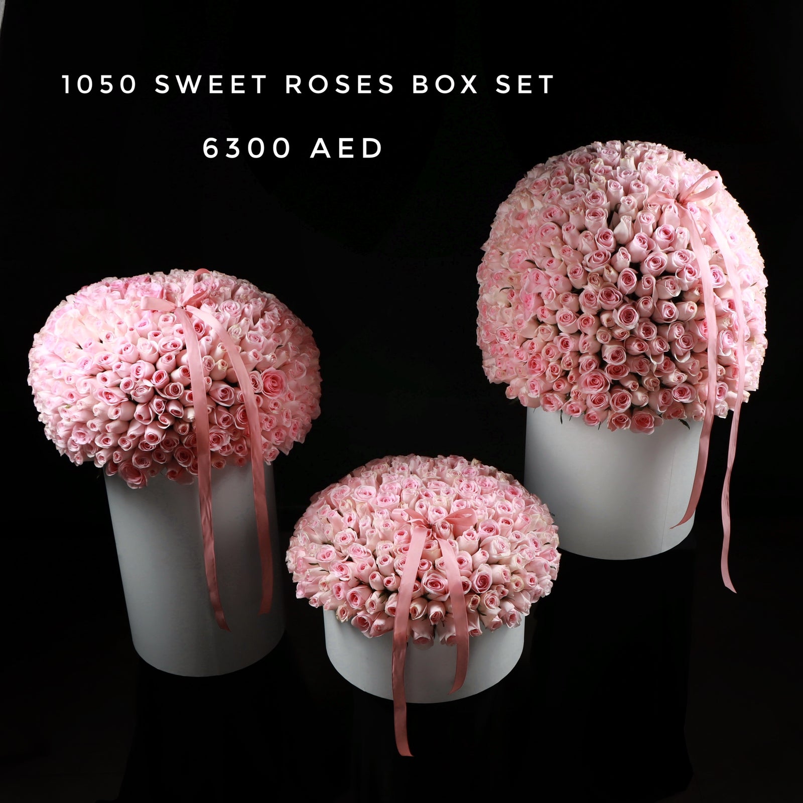 1050 Sweet Roses Box Set