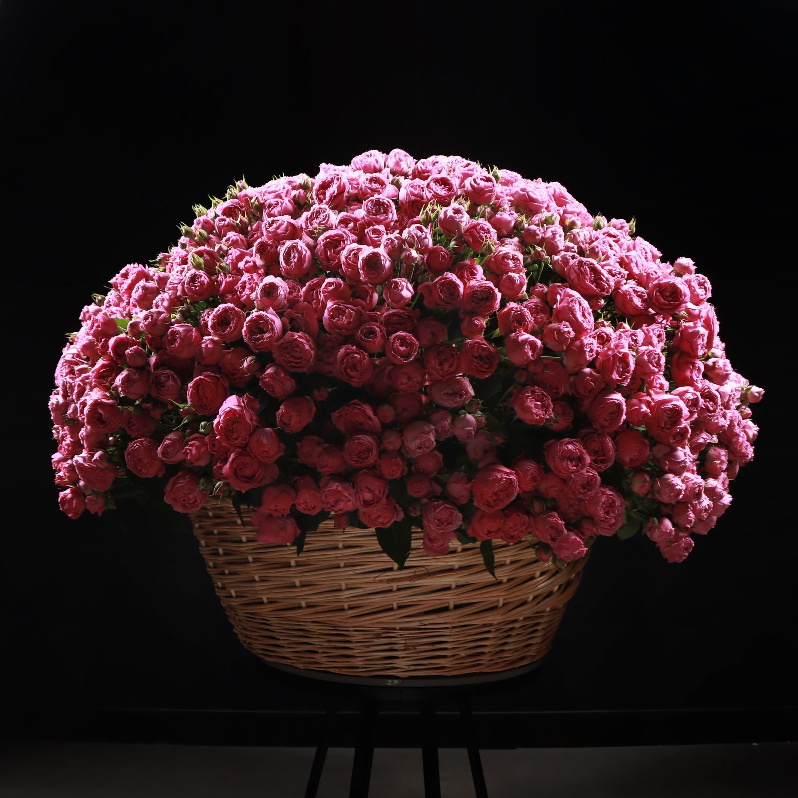 200 Stems Julietta Basket
