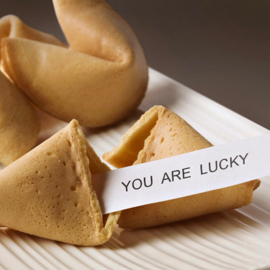 Single Fortune Cookie