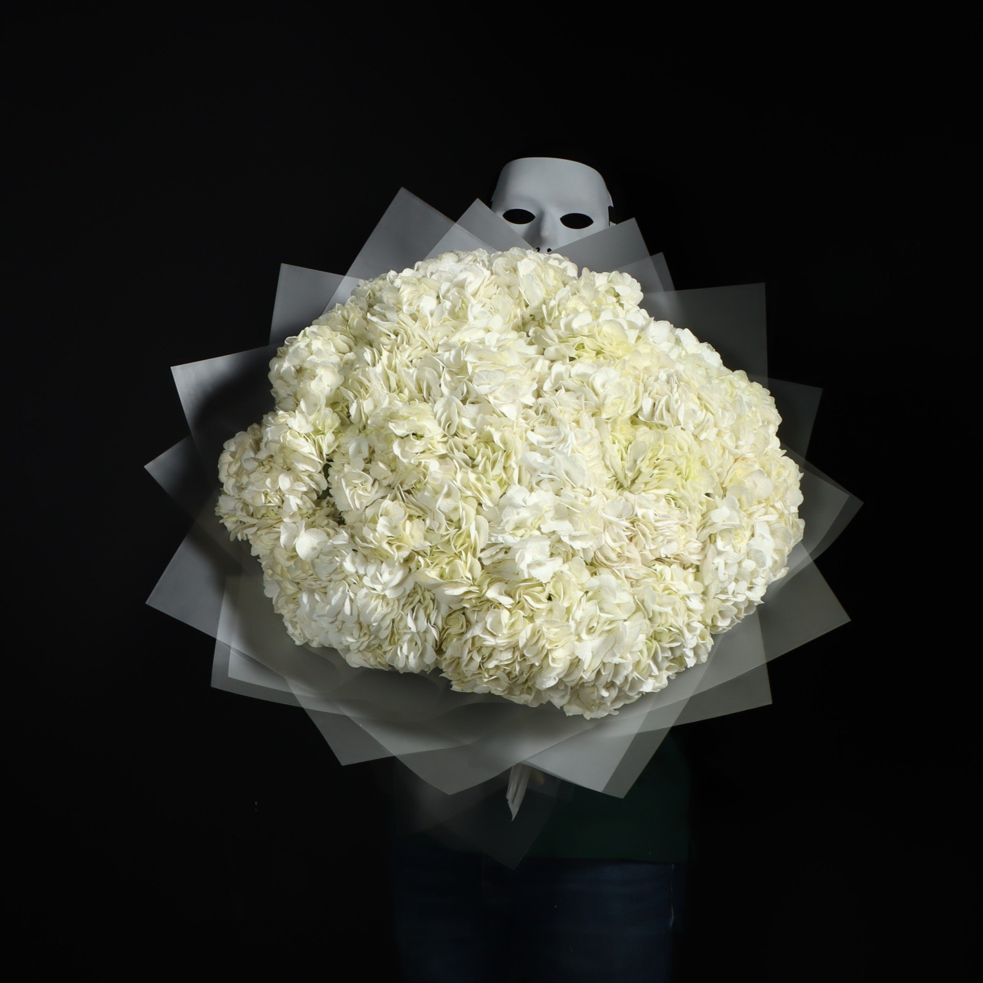 24 White Hydrangeas Bouquet Main image