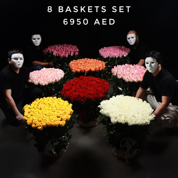 8 Baskets Set