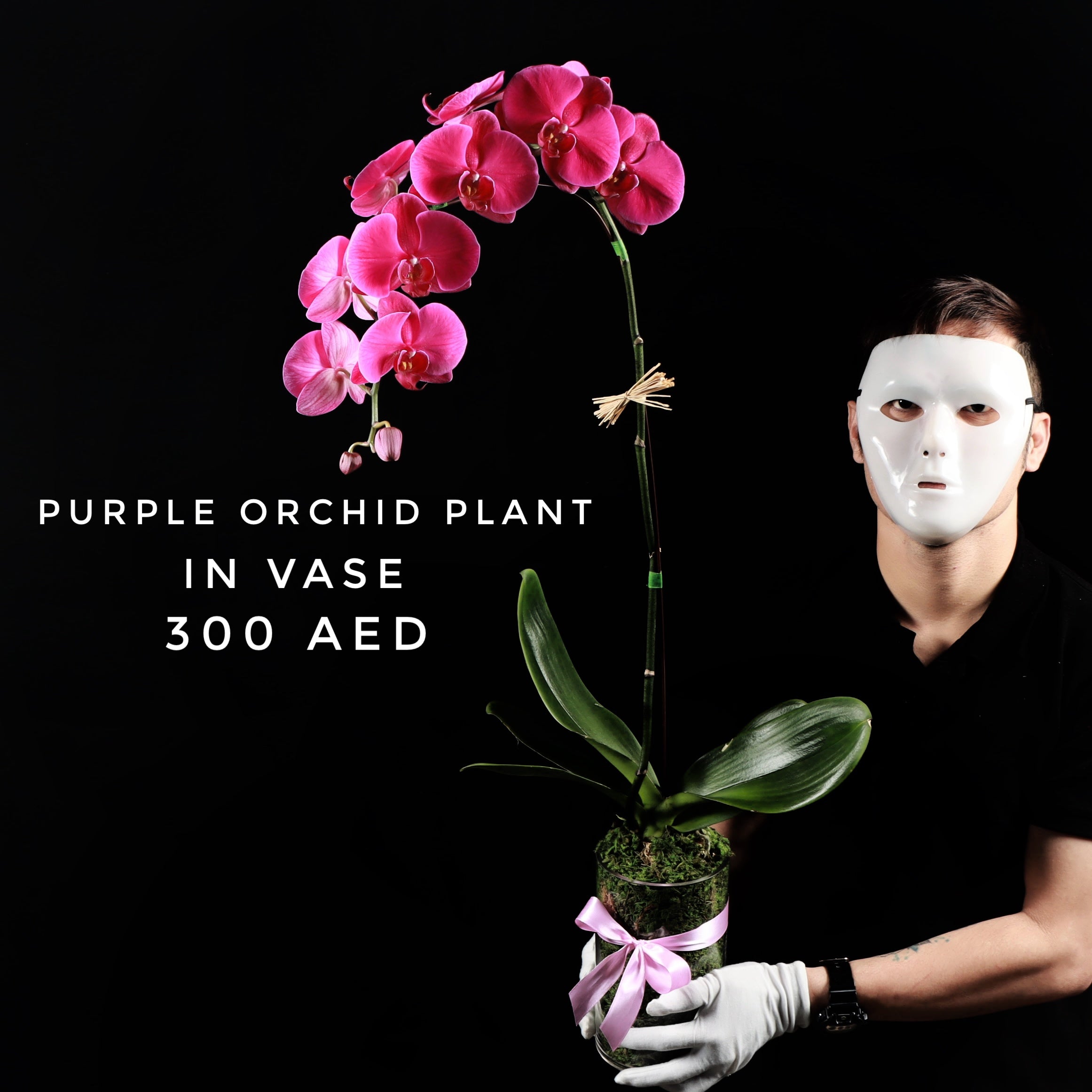 Purple Orchid Plant In Vase Main image