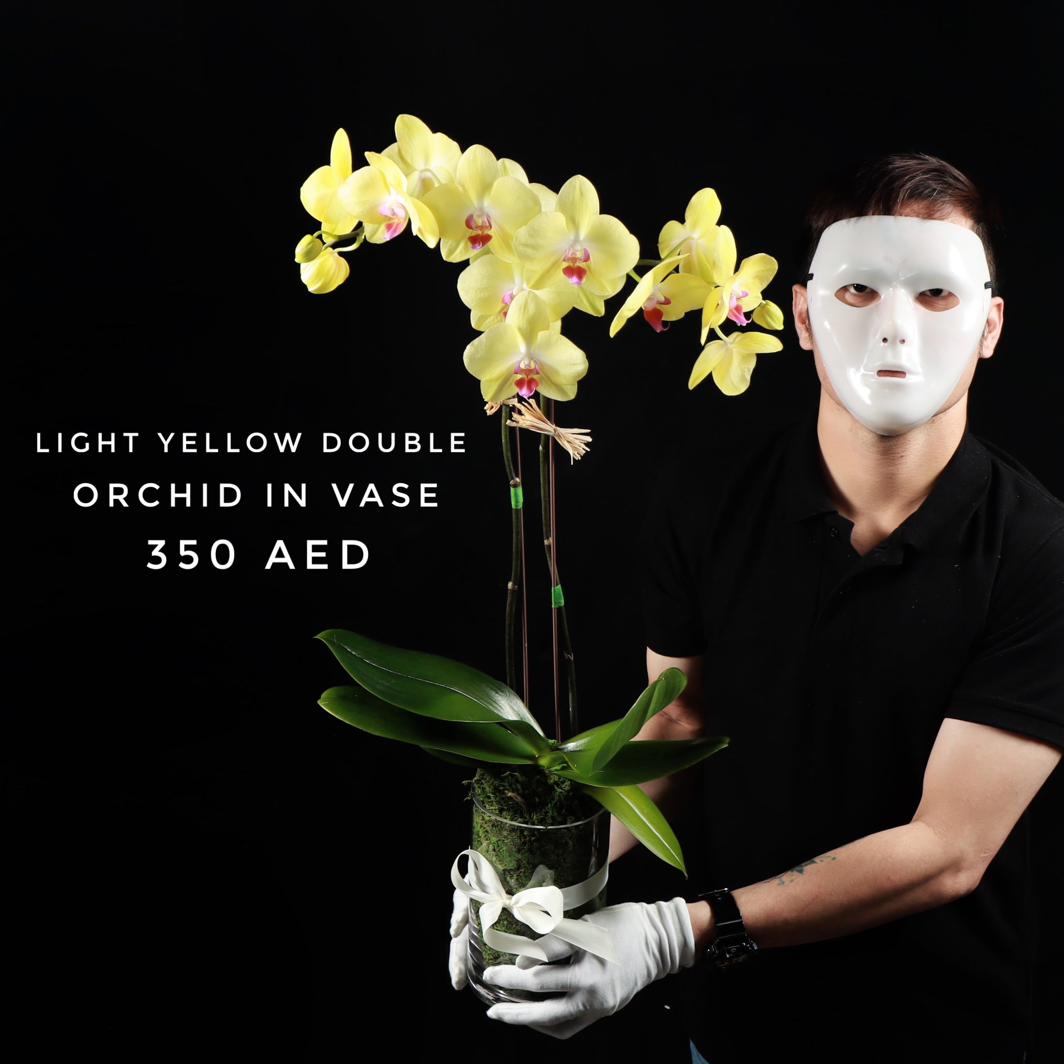 Light Yellow Double Orchid In Vase Main image