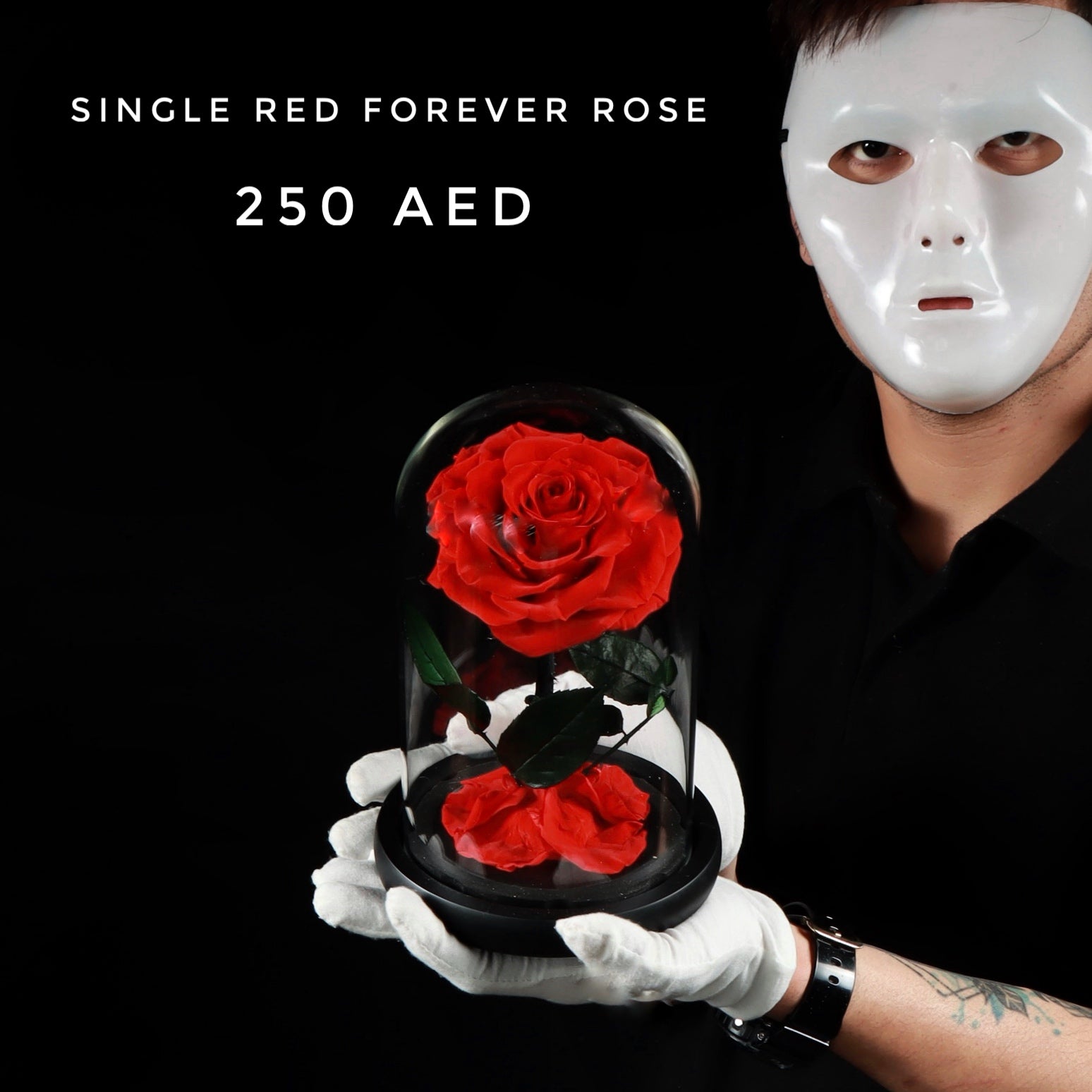 Single Red Forever Rose Main image